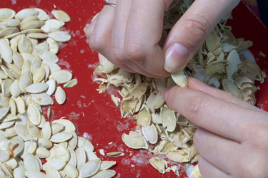 Similar image 19774689