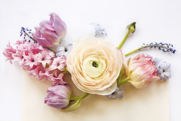 Similar image 19557110