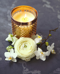 Similar image 19557113