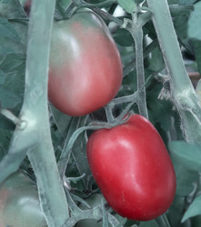 Similar image 19200498