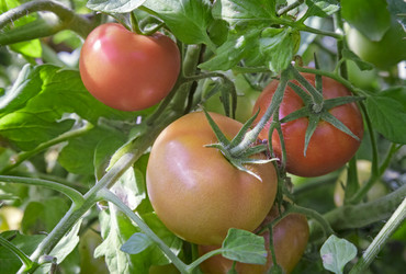 Similar image 19200458