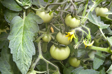 Similar image 19200459