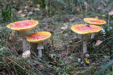 Similar image 19200499