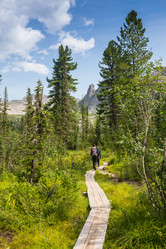 Similar image 19608737