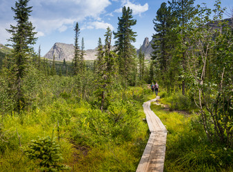 Similar image 19608765