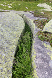 Similar image 19608979