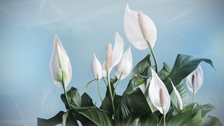 Similar image 19200543