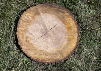 Similar image 19200560