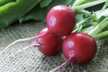 Similar image 19200576