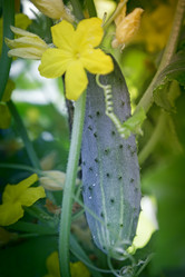 Similar image 19200577