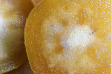 Similar image 19200579