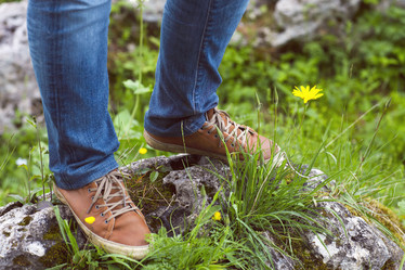 Similar image 19557140