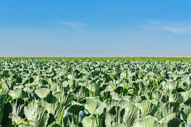 Similar image 19193172