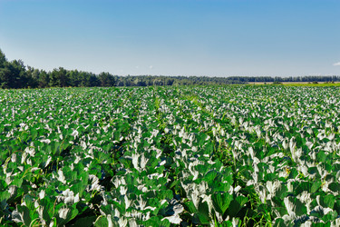 Similar image 19193173