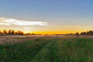 Similar image 19193219