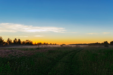 Similar image 19193220