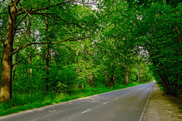 Similar image 19193221