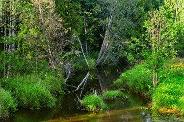 Similar image 19193235