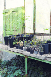 Similar image 19557152