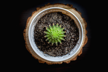 Similar image 19196119