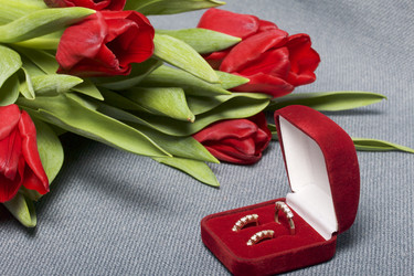 Similar image 19774940