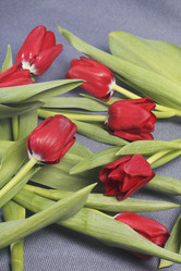 Similar image 19774944