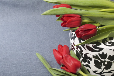 Similar image 19774946