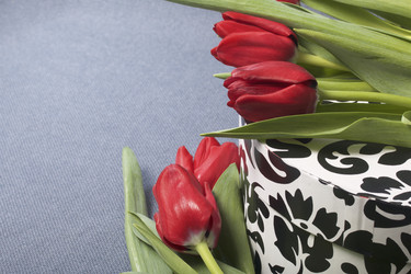 Similar image 19774955