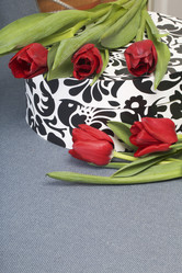 Similar image 19774962