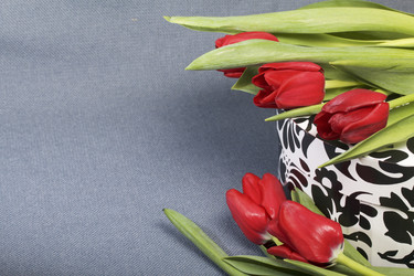 Similar image 19774947