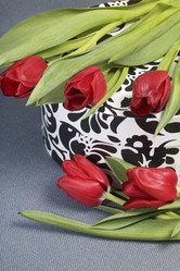 Similar image 19774948