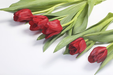 Similar image 19774951