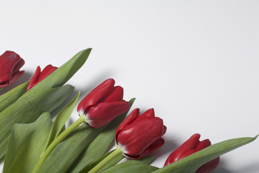 Similar image 19774952