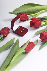 Similar image 19774970