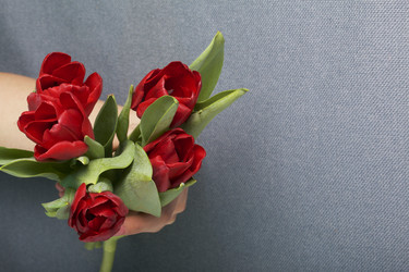 Similar image 19774973