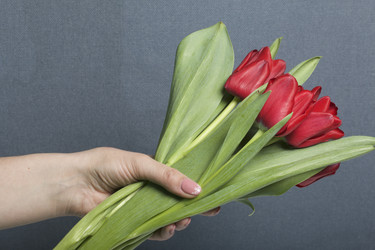 Similar image 19774986