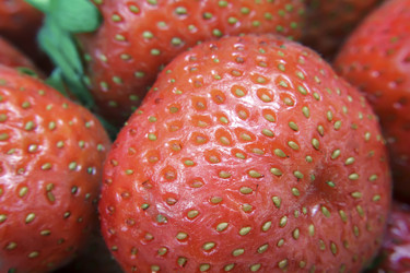 Similar image 19200506