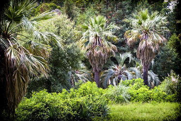 Similar image 19200547