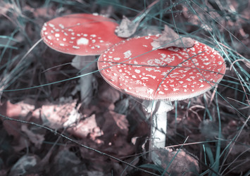 Similar image 19200548