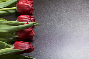 Similar image 19774897