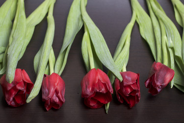 Similar image 19774898