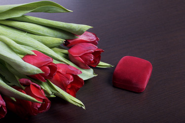 Similar image 19774899