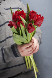 Similar image 19775439