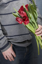 Similar image 19775440