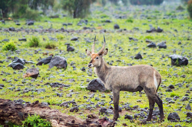 Similar image 19579728