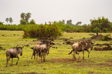 Similar image 19579730