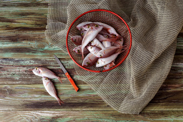 Similar image 19196320