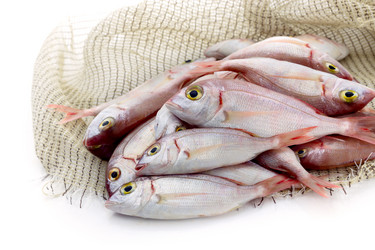 Similar image 19196325