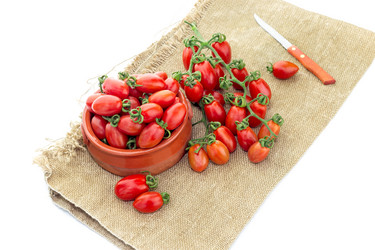 Similar image 19196329