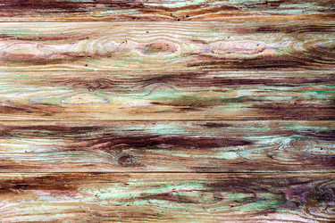 Similar image 19196331